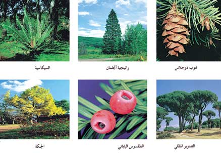 ملف:25 154830 09.jpg