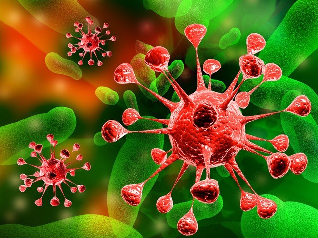 ملف:Naegleria fowleri.jpg