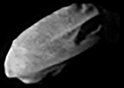 ملف:Daphnis (Saturn's Moon).jpg