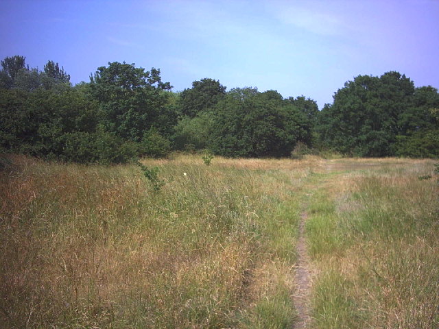 ملف:Mitcham Common. - geograph.org.uk - 21884.jpg