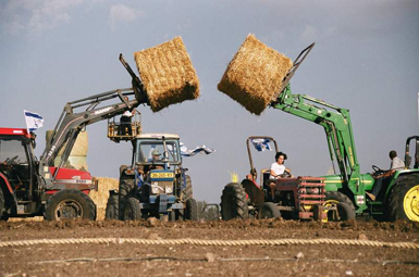 ملف:Shavuot bikkurim.jpg