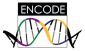 ENCODE logo.png