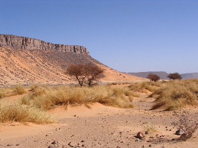 ملف:Hoggar Desert (Algerie).jpg