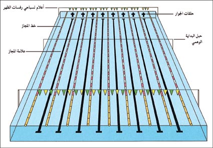 ملف:Swimminglegalpoolpic1.jpg