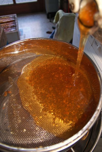ملف:Filtering of honey .jpg