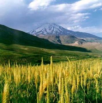 ملف:Damavand3.jpg