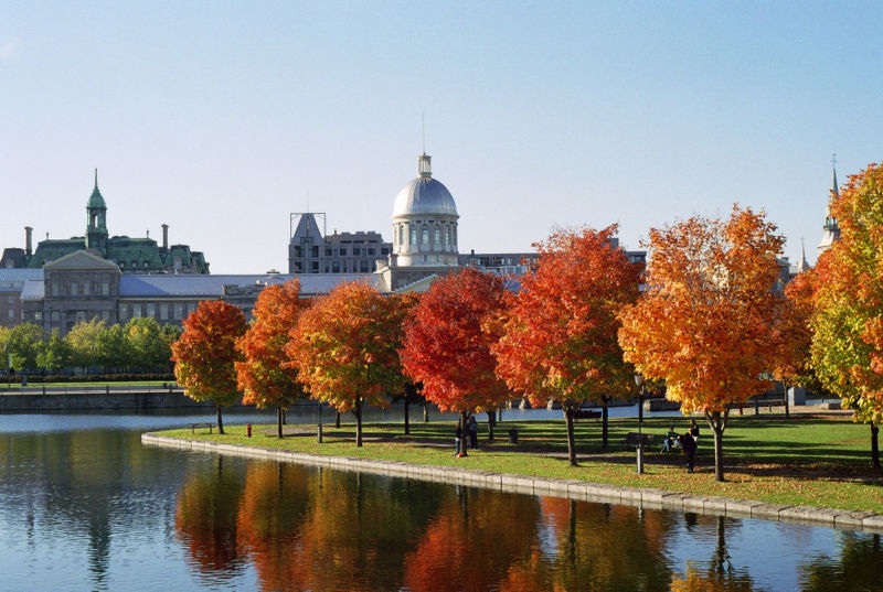 ملف:Marché Bonsecours and Foliage.jpg