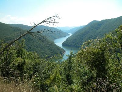 ملف:Rodopi065-400.jpg