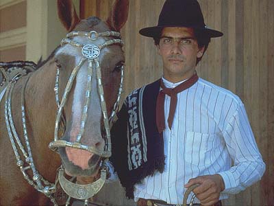 ملف:GauchoArgen.jpg