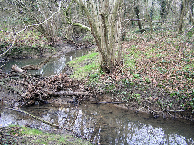 ملف:Kent Brook - geograph.org.uk - 1101606.jpg