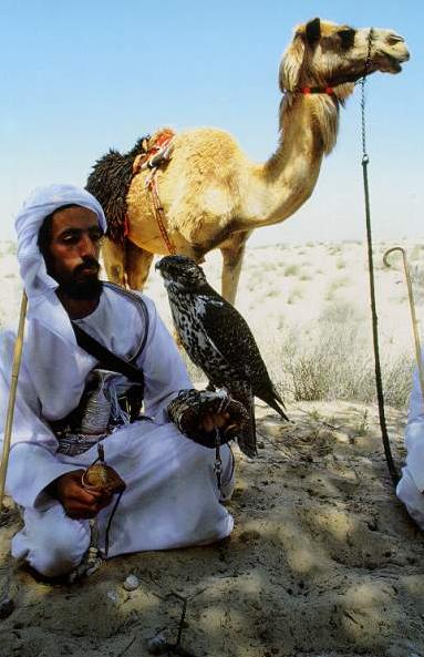 ملف:Bedouin04.jpg
