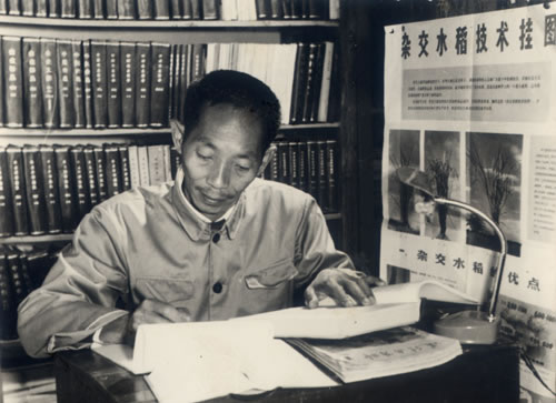 ملف:Yuan Longping in 1962.jpg