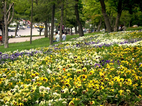 ملف:Alaaddinhill.jpg