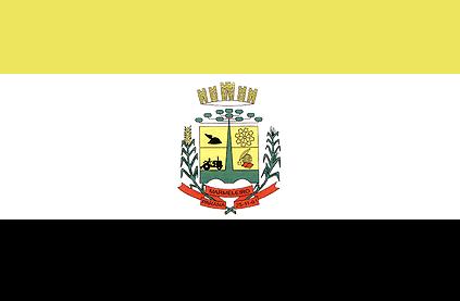 ملف:Bandeira-marmeleiro.jpg