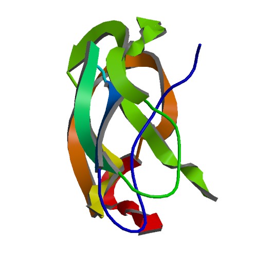 ملف:PBB Protein APP image.jpg