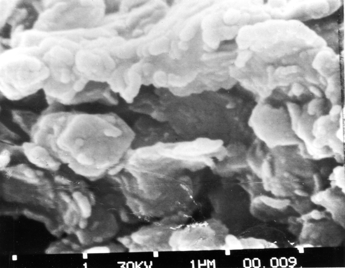 ملف:Clay magnified.jpg