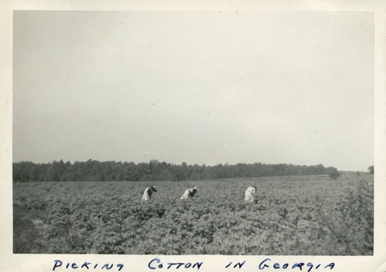 ملف:Cotton1943 cropped.jpg