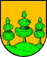ملف:Wappen at saalfelden.png