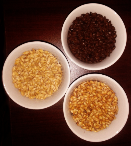 ملف:Cebadas de Cerveza.png