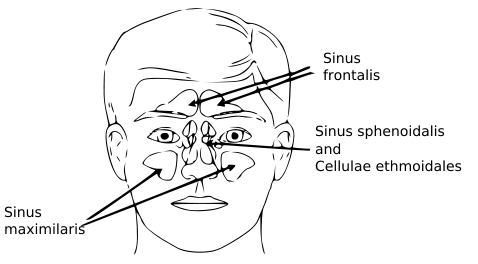 ملف:Gray153.png