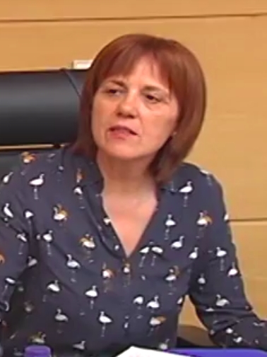 ملف:María Consolación Pablos Labajo 2017 (cropped).jpeg