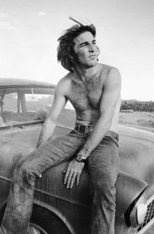 ملف:Dennis Wilson 1971 cropped.jpg