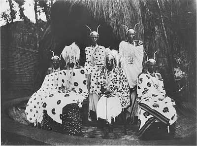 ملف:Musinga.jpg