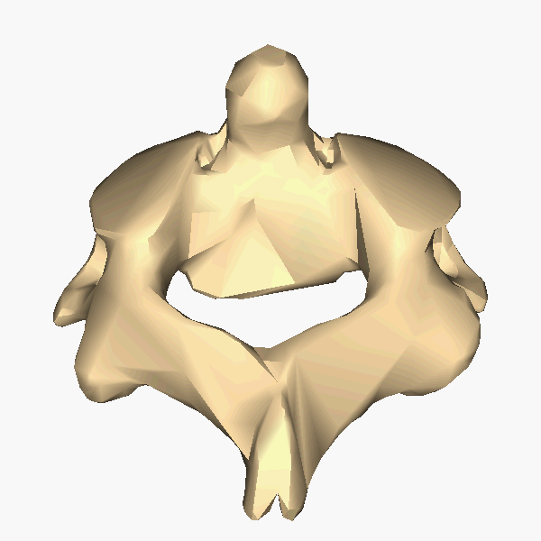 ملف:Cervical vertebra 2 close-up top animation.gif