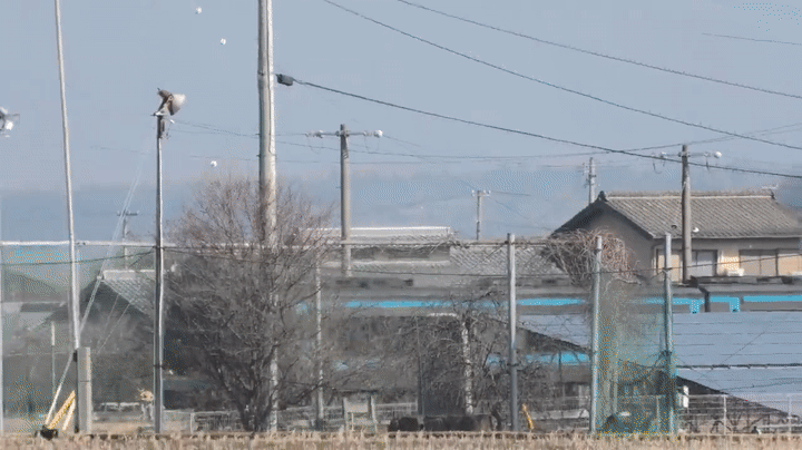 ملف:JRS 2000 pendulum action.gif