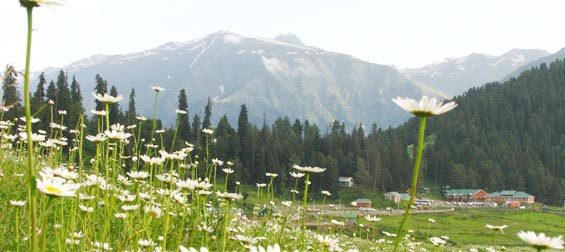 ملف:Kashmir summer.jpg