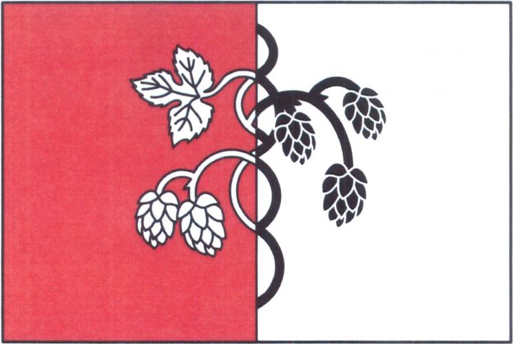 ملف:Chmelík Flag.jpg