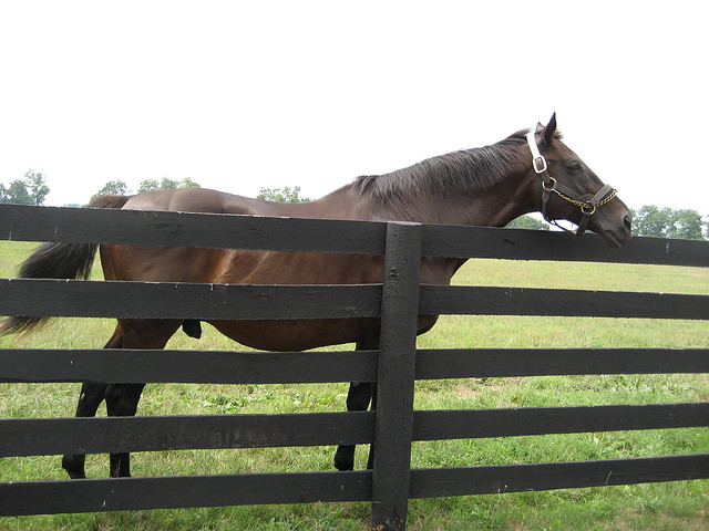 ملف:Dynaformer 1.jpeg