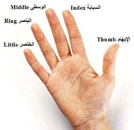 ملف:655600562.jpg