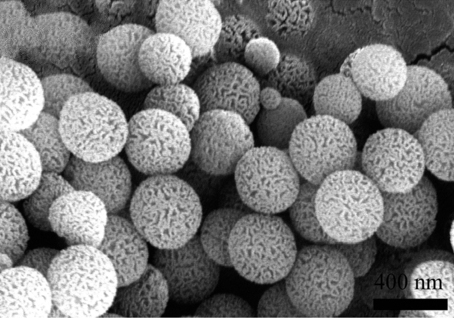 ملف:Radial mesoporous silica.jpg