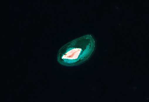 ملف:TritonIsland.jpg