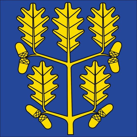 ملف:Flag of Rheinklingen.jpg