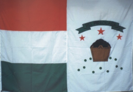 ملف:Bandeira rio piracicaba.jpg