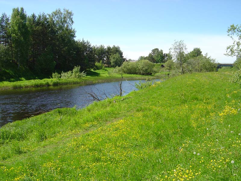 ملف:Река Тифина.jpg