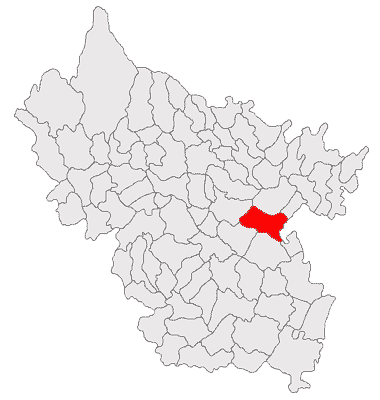 ملف:Cochirleanca jud Buzau.png