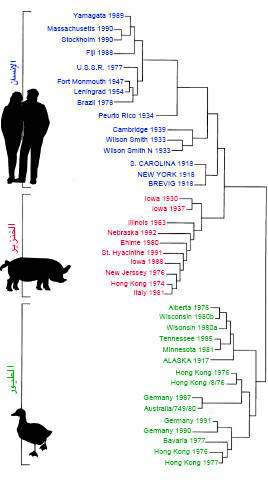 SCI2005b21N1-2 H03 00942.jpg