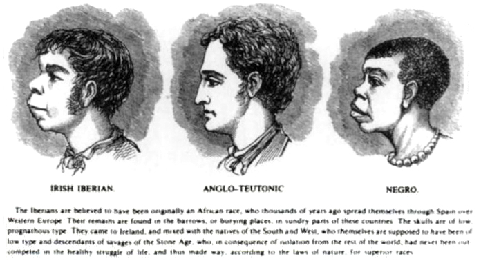 ملف:Scientific racism irish.jpg