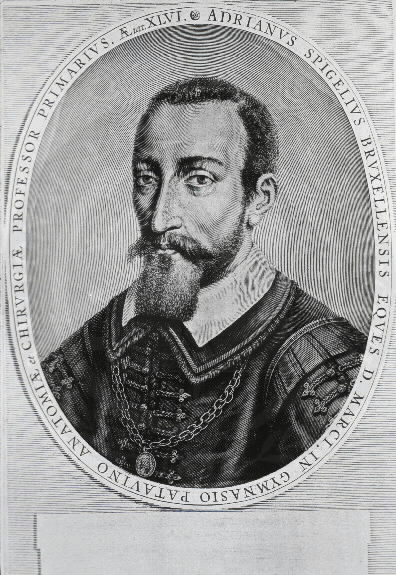 ملف:Adriaan van den Spieghel.jpg