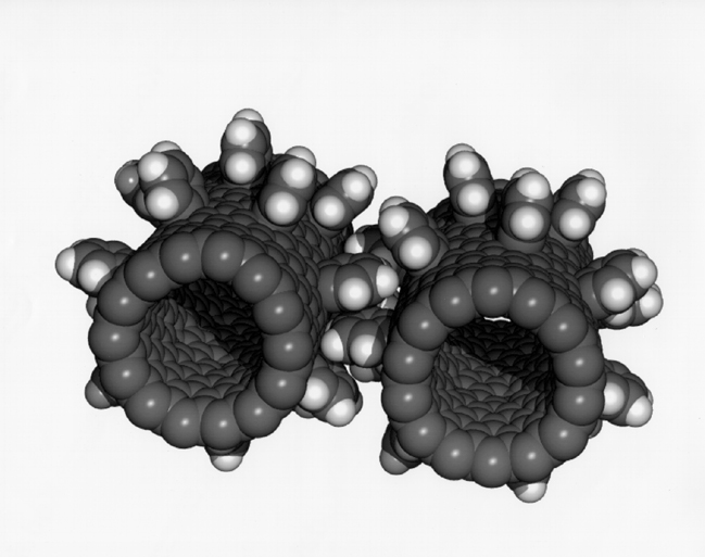 ملف:Molecular gears.jpg