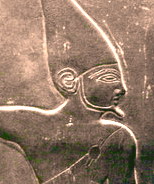 ملف:NarmerOfEgypt.jpg