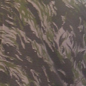 ملف:Lebanesecommandotigerstripes-squared.png