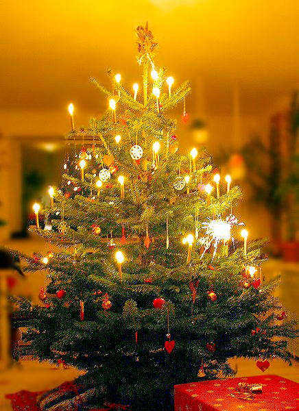 ملف:Juletræet.jpg