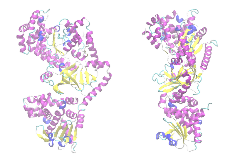 ملف:Anthrax-lethal-factor 1J7N.png