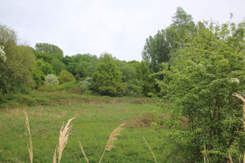 ملف:Bovenlopen Zwalm 07.jpg