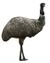Emu RWD2 white background.jpg