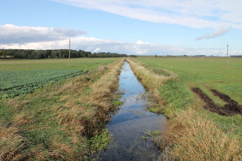 ملف:Erla ties Šaučikiais 2020.JPG